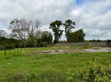 Terreno · 1102m² · Lote en Venta Madariaga C/planos Aprobados P/casa