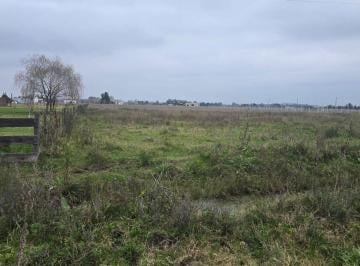 Terreno · 12000m² · Venta de 1.2 Ha en Cañuelas