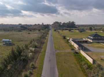 Campo · 7ha · Ha en Venta en Atalaya