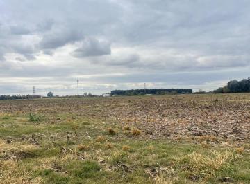 Campo · 45168ha · Campo 5 Has en Venta en Perez