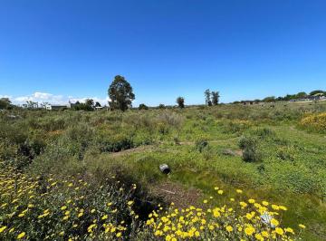 Terreno · 10000m² · Venta de Terreno San Carlos Maldonado