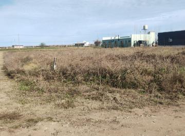 Terreno · 1124m² · Terreno Calle Golondrina y Zorzal - Winifreda