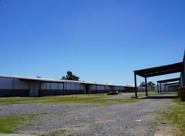 Bodega-Galpón · 3000m² · Galpón Naves Tres Mil m² de Alquiler Zarate Puerto