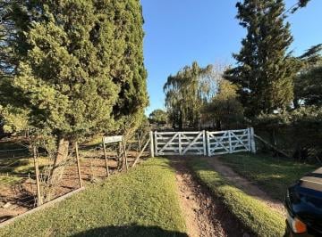 Campo · 90ha · Chacra en Venta en 9 de Julio
