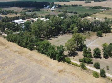 Campo · 190ha · Venta Campo Zarate