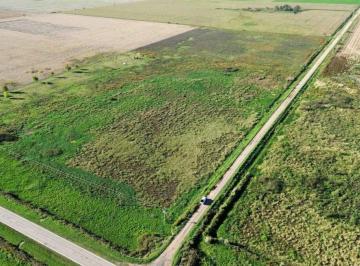 Campo · 12ha · En Venta Campo 11,5 Ha 100% Agricola