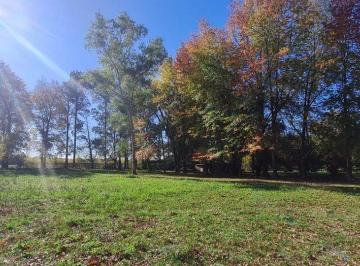 Campo · 280ha · Venta Campo en Pilar, Oportunidad. 4 Ha.