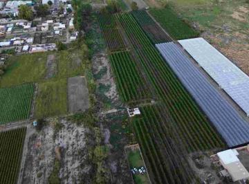 Terreno · 4458m² · Terreno 4.400 Calle Santo Tomas de Aquino, Gllen