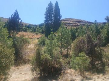 Terreno · 790m² · Terreno en Villa Ayelen El Maitenal