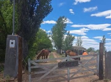 Campo · 30ha · Venta Finca con Piscina La Dormida Sta. Rosa Mza