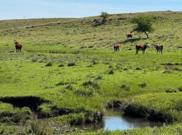 Campo · 694ha · Venta de Campo Ganadero – 694 Ha en Rio Negro