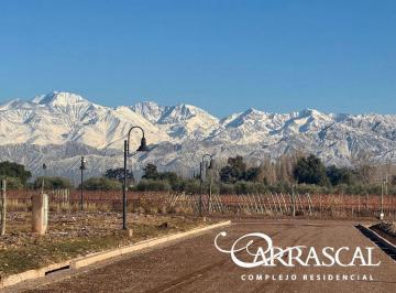 Terreno · 1020m² · Lote Premium 1020 m² en Venta Carrascal B Privado
