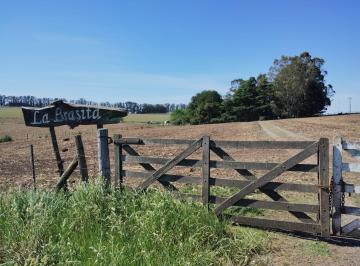 Terreno , Tandil · Fraccion Campo 5ha Tandil