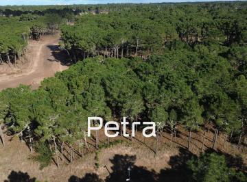 Terreno · 1080m² · Terreno en Venta en Pinamar - Bosques Tamarisco