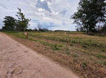 Terreno · 5400m² · Vendo Lotes Rurales en San Justo, Entre Ríos.