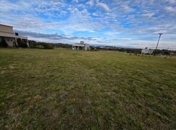 Terreno · 842m² · Vendo Terreno de 842 m² en Las Acacias Concepción del Uruguay E R