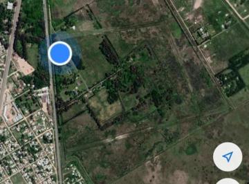 Campo · 900000ha · Campo en Alejandro Korn