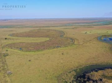 Campo · 15180000ha · Campo Ituzaingo Corrientes