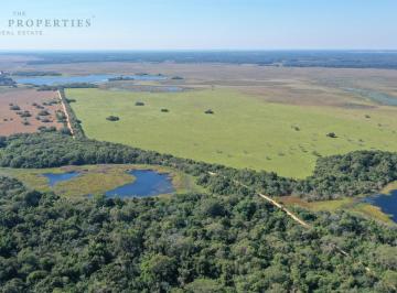 Campo · 15180000ha · Venta Campo Premium en Ituzaingó, Corrientes