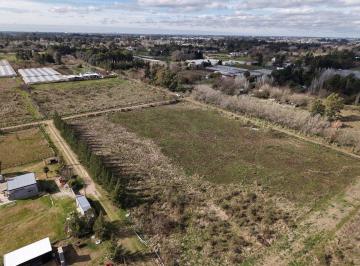 GTO-GTO-85_2 · Venta de Lote en Abasto, La Plata