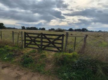 Campo , Villarino · Campo en Venta de 59250 m² Ubicado en Médanos