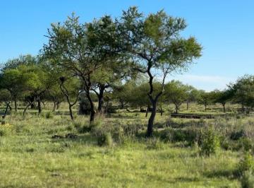 Terreno , Federal · Campo Ganadero en Alquiler