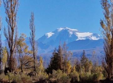 Terreno · 11231m² · Venta Gran Terreno 1,12 Has en Barreal Sur