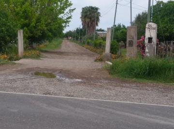 Campo · 9ha · Venta Campo Agricola - Cañada Seca - San Rafael