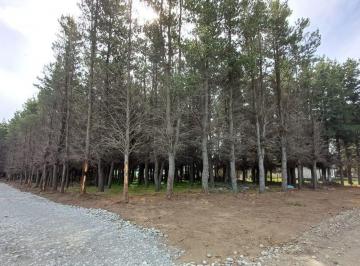 Terreno · 615m² · Lote en PH en Dina Huapi con Planos Aprobados