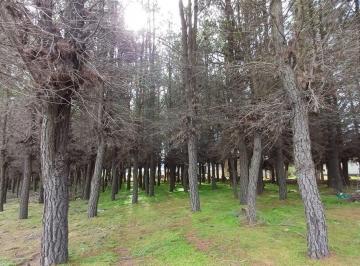 Terreno · 612m² · Lote en PH Venta Dina Huapi