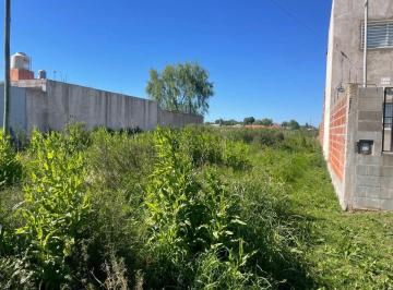 Terreno · 300m² · Lote en Venta Abasto La Plata