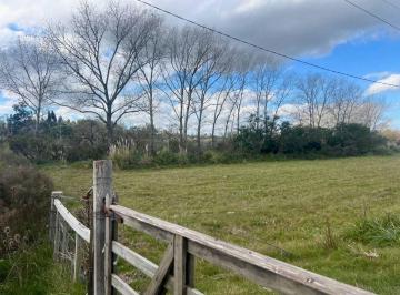 Campo · 130ha · Campo con Costa Al Arroyo Pando y Dos Viviendas
