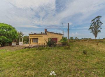Campo · 119597ha · Venta de Campo 12ha con Casa en Ruta 80 Migues