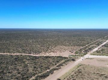 Campo · 5950ha · Venta de Campo de 5950 Has - Limay Mahuida