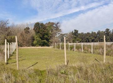 Terreno · 336m² · Venta Lote 336 m² Mariano Acosta Merlo