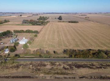 Campo · 4ha · Se Venden 4 Ha Sobre Ruta Nac. 33, V. Tuerto