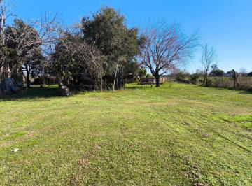 Terreno · 49161m² · Se Venden 5 Hectáreas - Santo Tome
