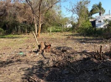 Terreno · 191m² · Lote en Venta en Puente de Santa Lucia Goya