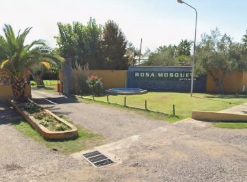 Terreno · 500m² · Venta Lote/casa en Obra Grueso Primavera Mendoza