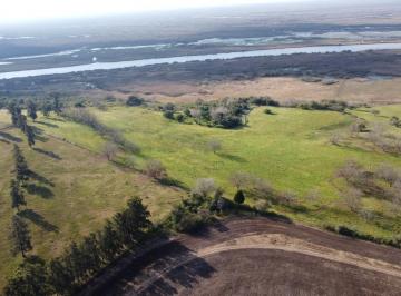 Campo · 150000m² · Chacra de 15 Ha con Vista Al Río en Baradero