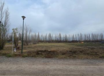 Terreno · 1000m² · Terreno en Venta Fernández Oro