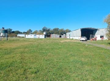 Bodega-Galpón , Navarro · Galpones Industriales Sobre 20.000 m² de Terrreno en Alquiler en Navarro