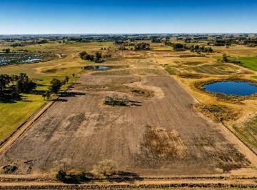 Campo , Veinticinco de Mayo · Venta Chacra de 13,5 Hectáreas en 25 de Mayo: Naturaleza, Inversión y Atardeceres Únicos