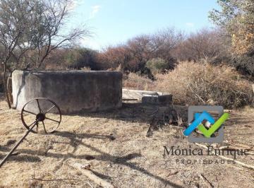 Campo · 250000ha · Campo de 25 Ha en Santa Rosa de Conlara