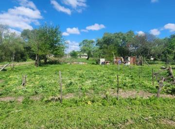 Terreno , Veinticinco de Mayo · Terreno en Venta en Gdor. Ugarte, 25 de Mayo.
