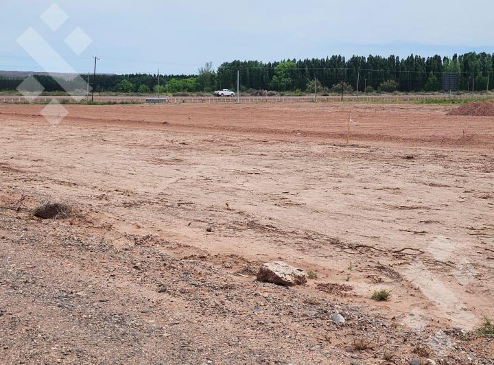 Terreno · 5000m²