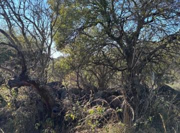 Terreno , Agua de Oro · Terreno Agua de Oro