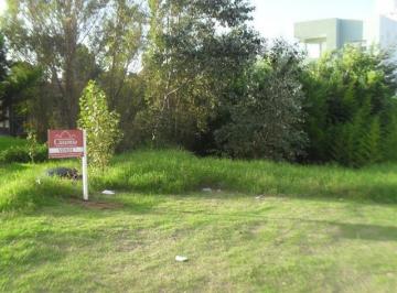 Terreno · 313m² · Mar de Ostende Lote Multifamiliar