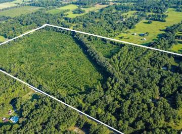 MTI-MTI-82_2 · Venta Campo de 32,4 Hectáreas en Gainesville Florida, Estados Unidos