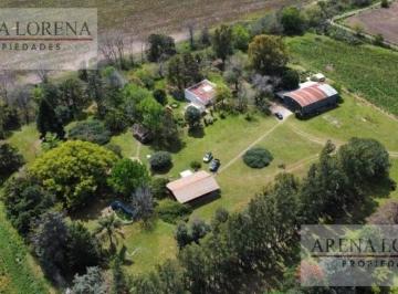 Campo · 240ha · 7 Ambientes · 6 Cocheras · Venta Campo en Lima Zarate 40 Ha